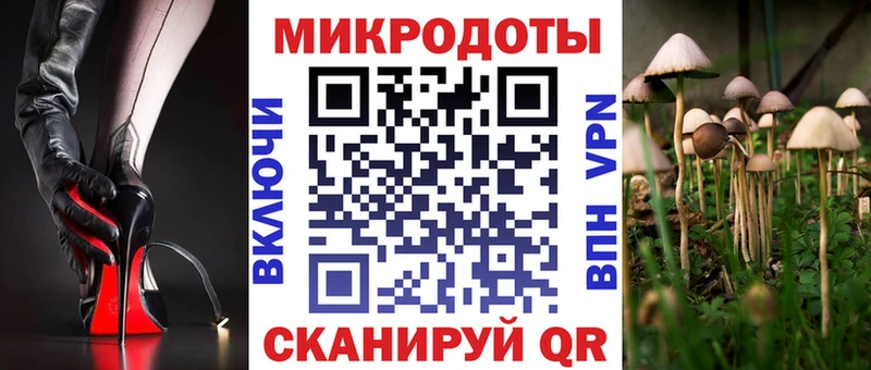 Галлюциногенные грибы GOLDEN TEACHER  даркнет телеграм  Верхняя Пышма 